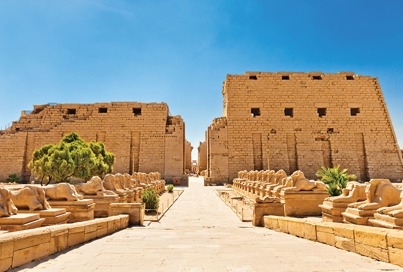 Wheelchair Tour to Luxor from Safaga