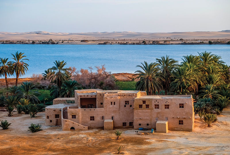 Short Break at Siwa Oasis