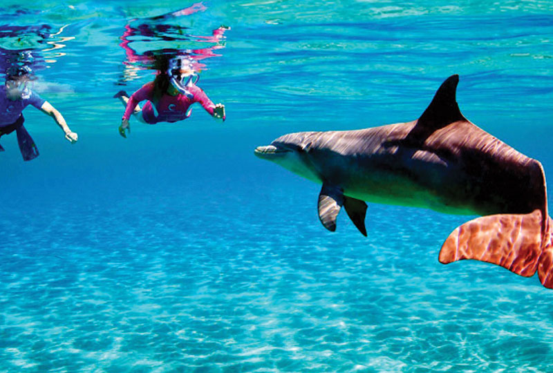 Snorkeling Tours in Taba