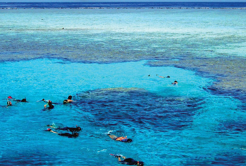 Snorkeling Trip to Tiran Island