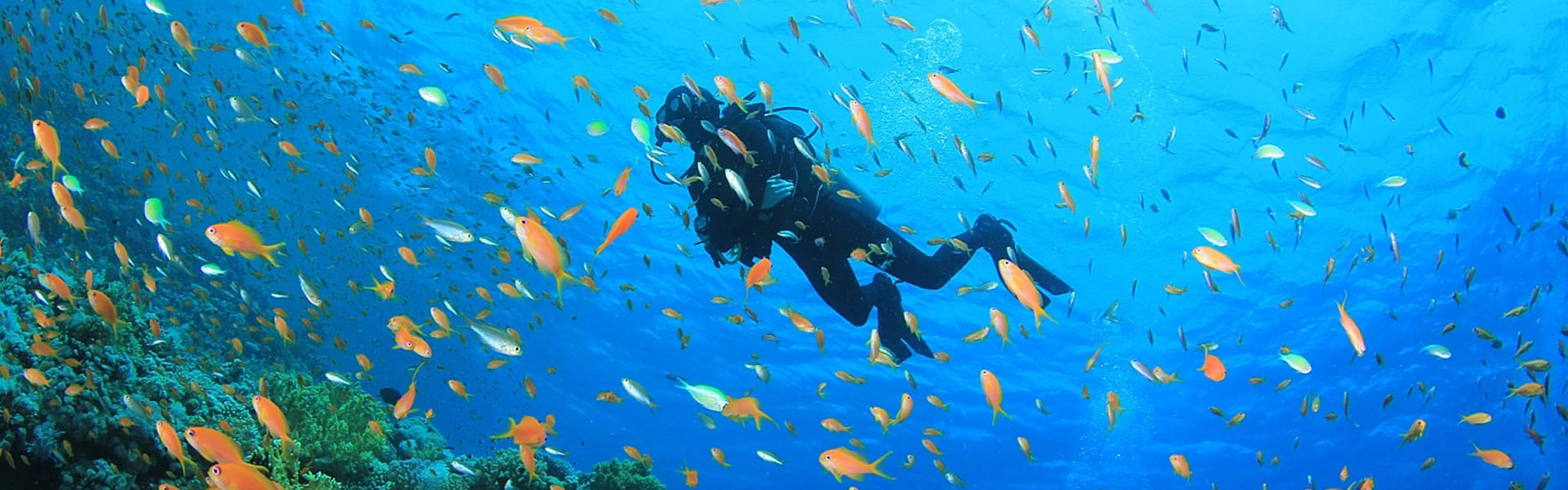 Au départ de Marsa Alam