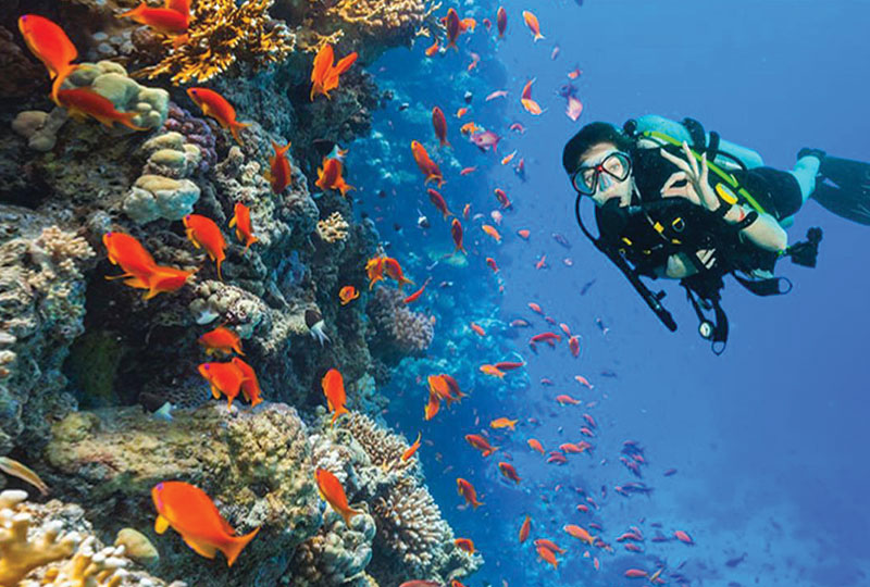 Snorkeling À L’île De Mahmya