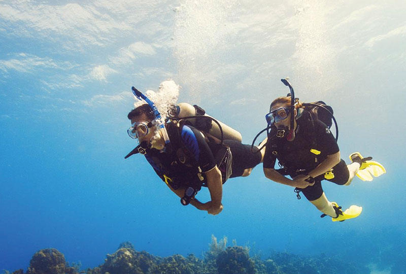 Snorkeling À Ras Mohamed