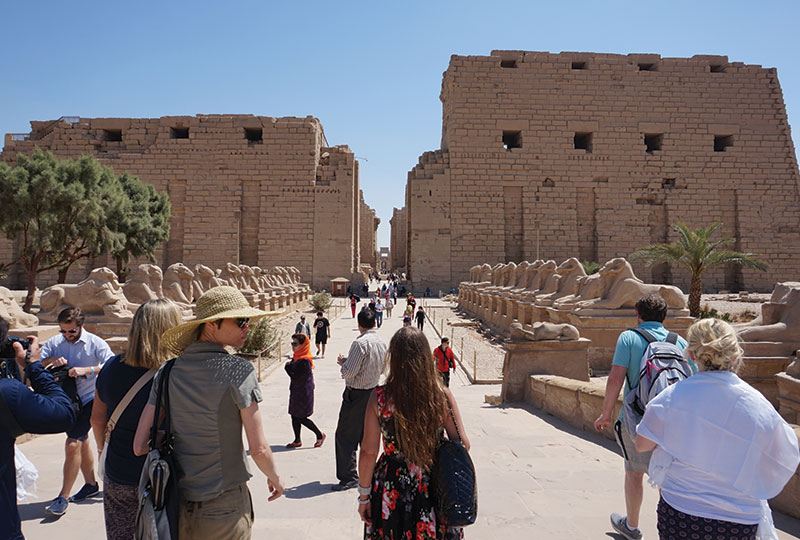 1 Jour Excursion Du Caire À Louxor En Avion