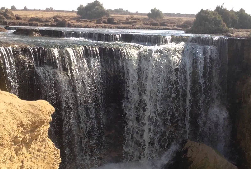 2 jours: oasis El Fayoum au départ du Caire