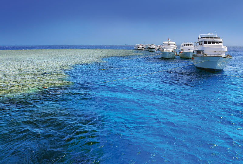 Egypt Red Sea Holidays