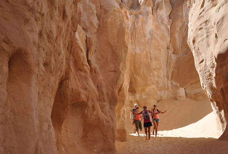 Safari Trip to Colored Canyon in Nuweiba