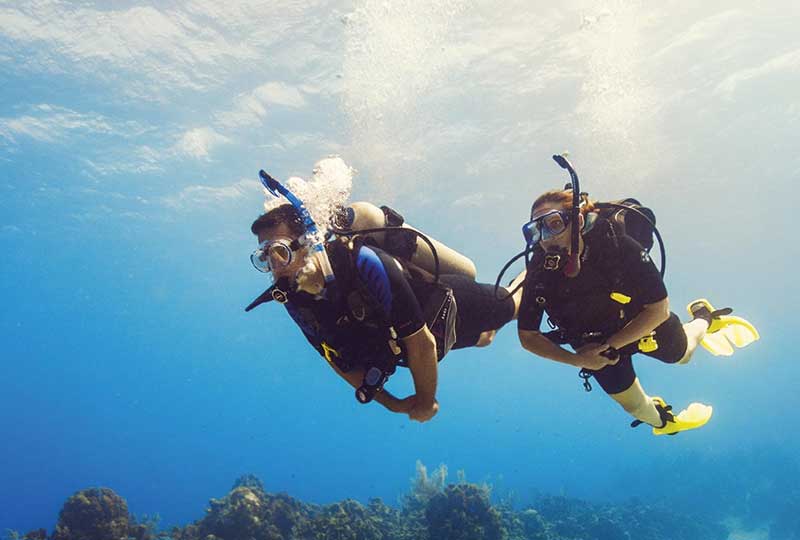 Red Sea Scuba Diving 